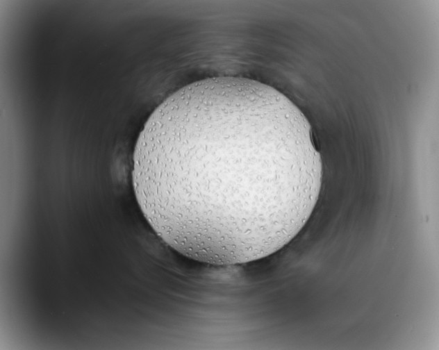 X0000089830576200707191828