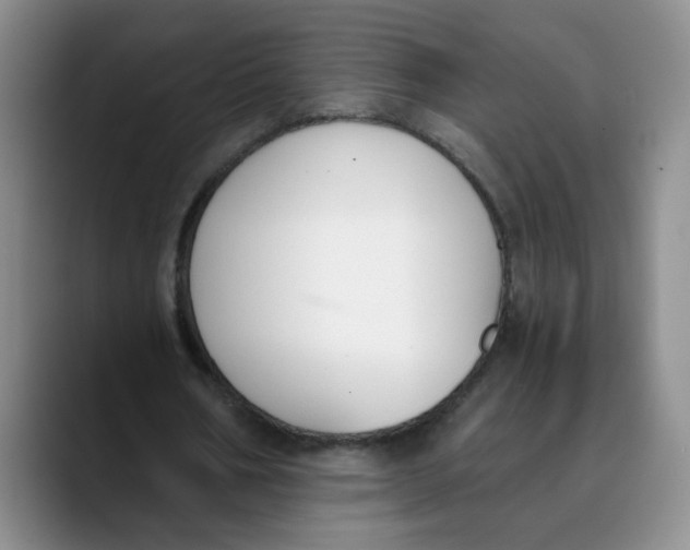 X0000089830578200707191827