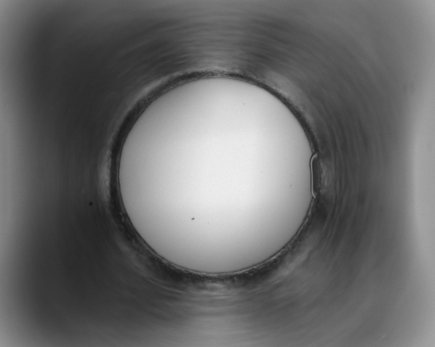 X0000089830580200707191827