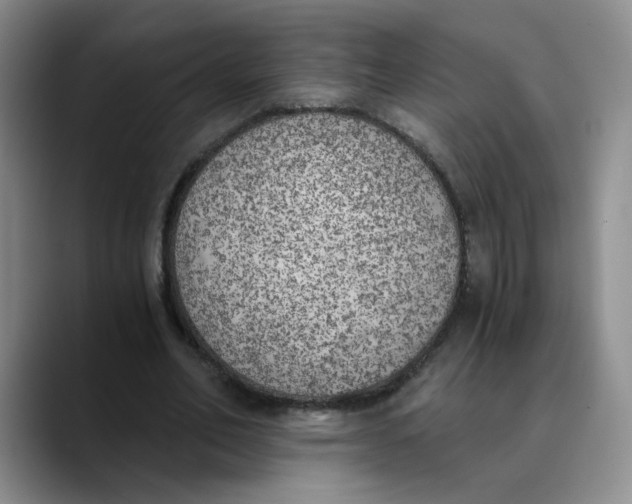 X0000089830582200707191827