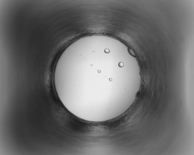 X0000089830583200707191827