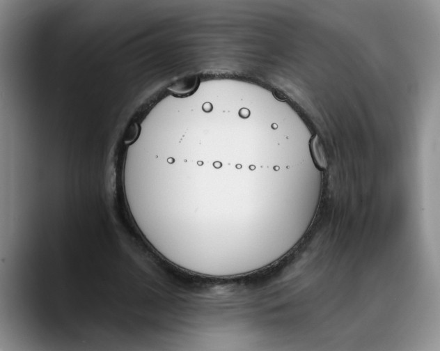 X0000089830584200707191827