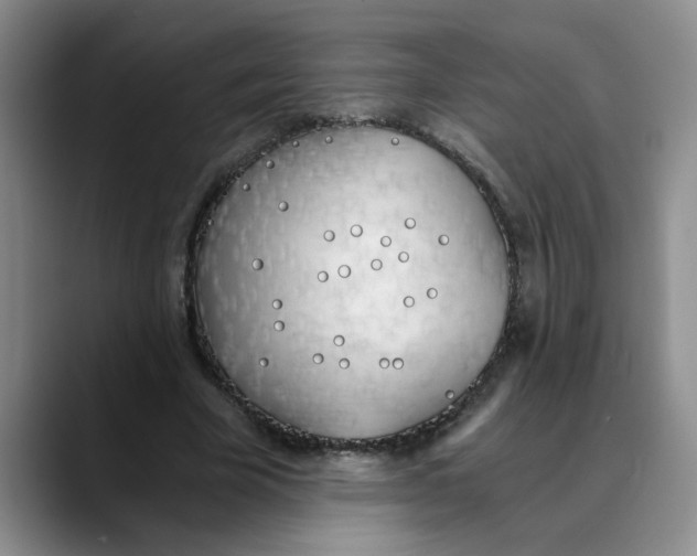 X0000089830585200707191827