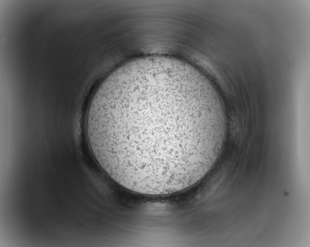 X0000089830586200707191827