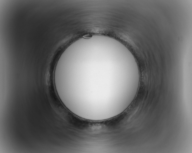 X0000089830587200707191827