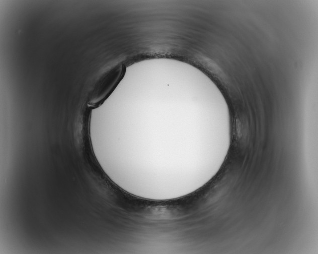 X0000089830588200707191827