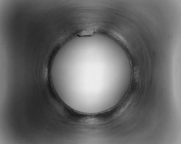 X0000089830589200707191827