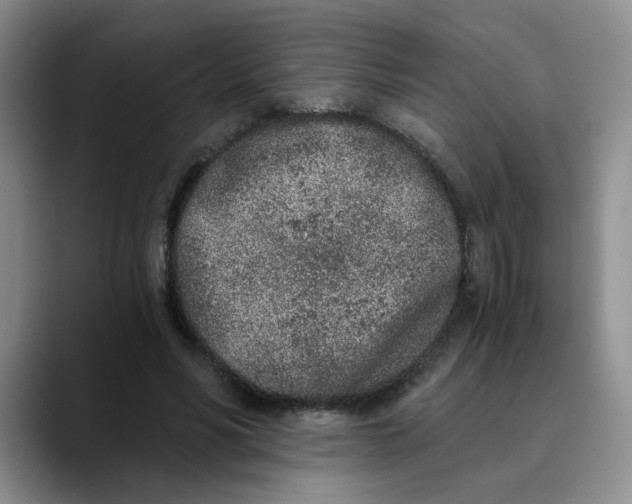 X0000089830590200707191827