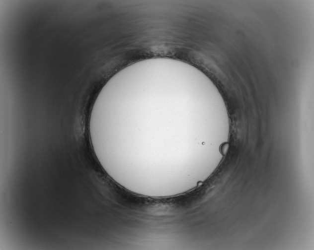 X0000089830593200707191827