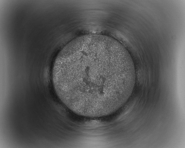 X0000089830594200707191827