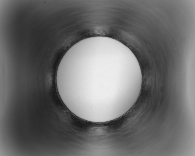 X0000089830595200707191827