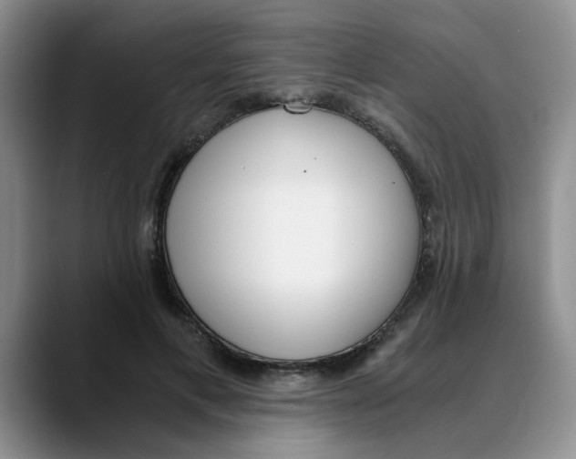 X0000089830597200707191827