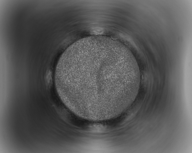 X0000089830598200707191827