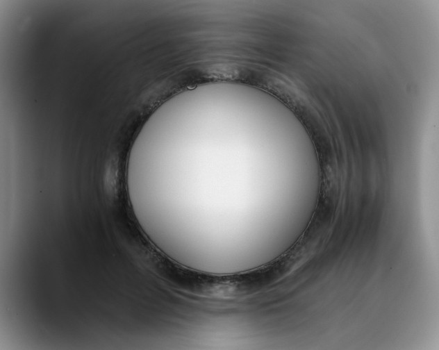 X0000089830600200707191827