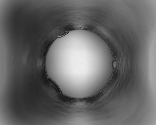 X0000089830601200707191827