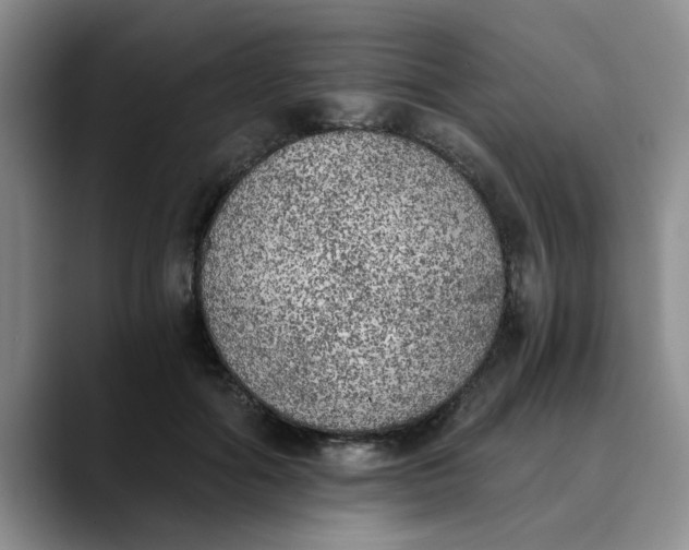 X0000089830602200707191827