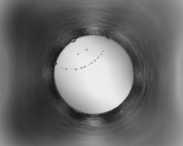 X0000089830603200707191827