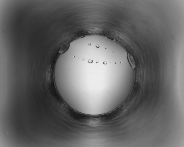 X0000089830604200707191827