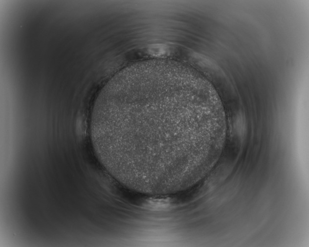 X0000089830606200707191827