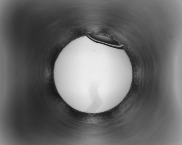 X0000089830608200707191827