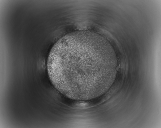 X0000089830610200707191827