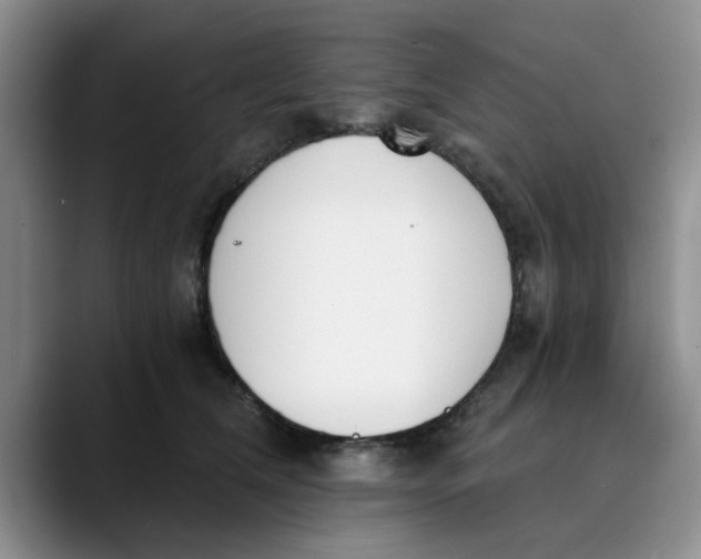 X0000089830612200707191827