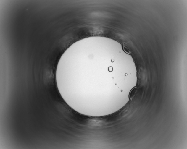 X0000089830614200707191827