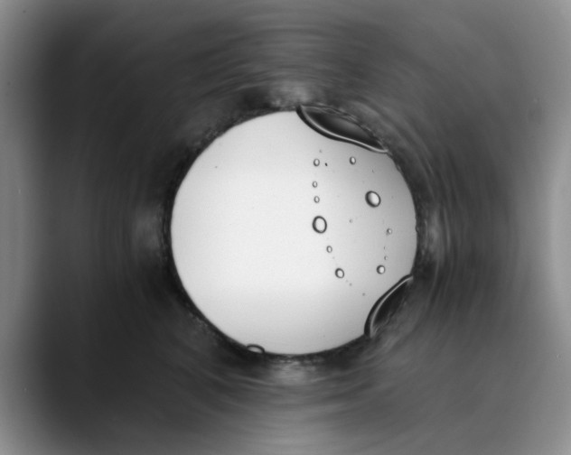 X0000089830616200707191827