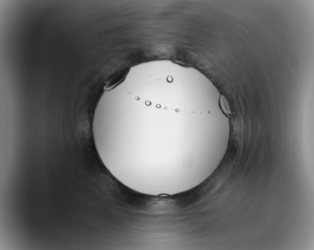 X0000089830617200707191827