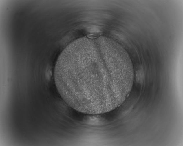 X0000089830618200707191827