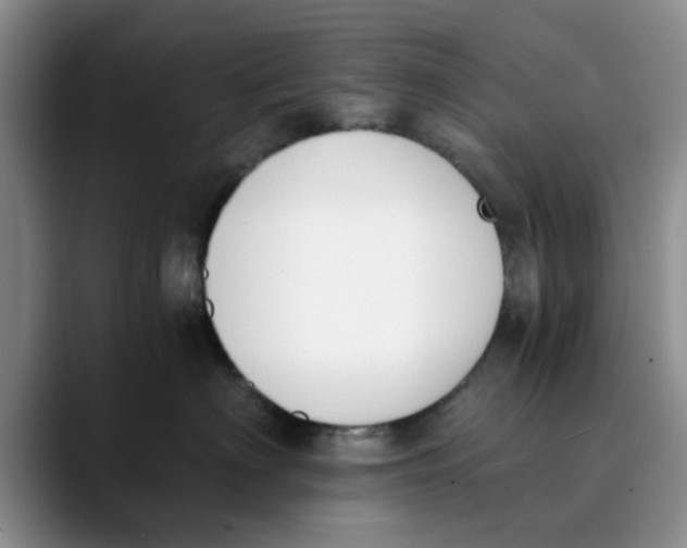 X0000089830622200707191827