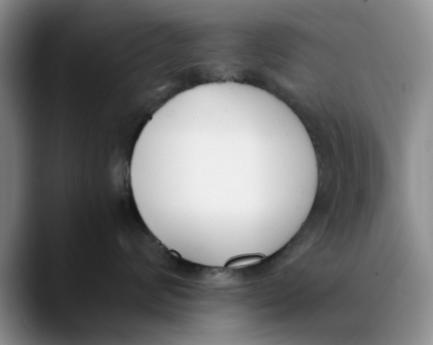 X0000089830624200707191827