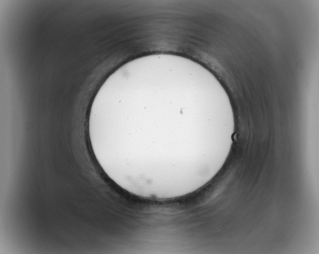 X0000089830625200707191826