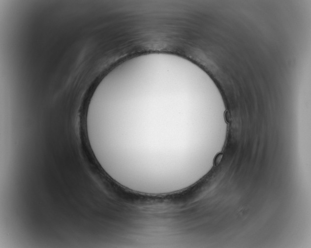 X0000089830626200707191826