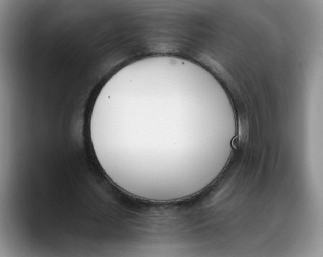 X0000089830627200707191826