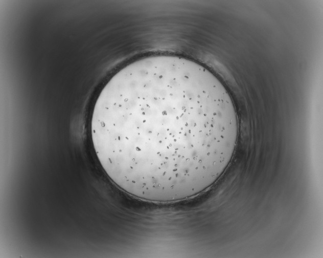 X0000089830628200707191826