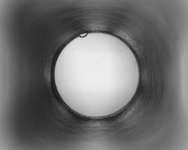 X0000089830629200707191826