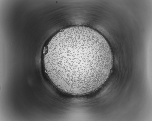 X0000089830630200707191826