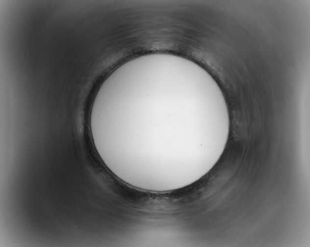 X0000089830631200707191826