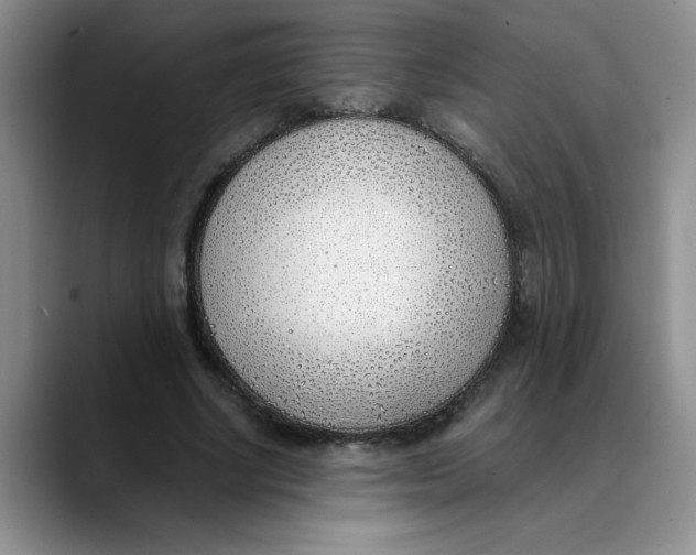 X0000089830634200707191826