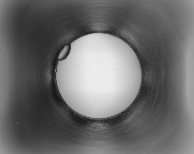 X0000089830635200707191826