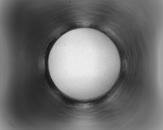 X0000089830638200707191826