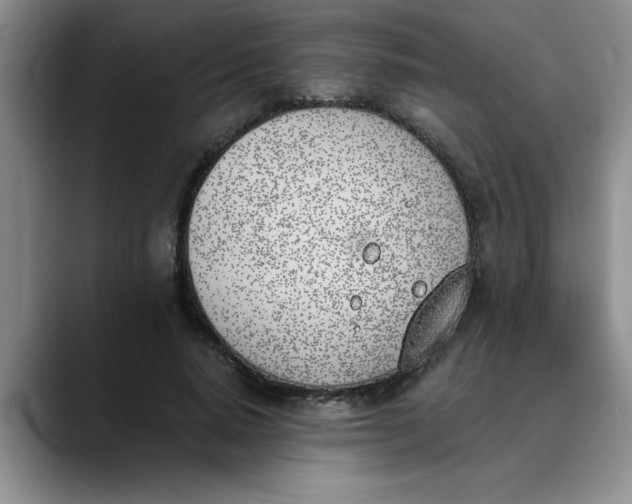 X0000089830640200707191827