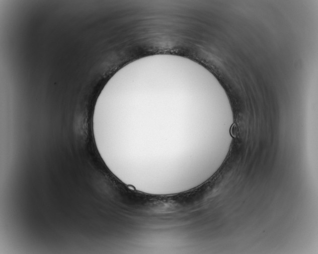 X0000089830642200707191827