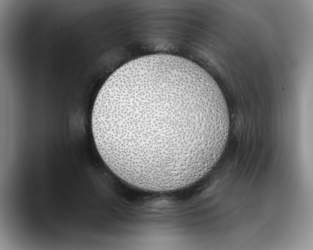 X0000089830643200707191827