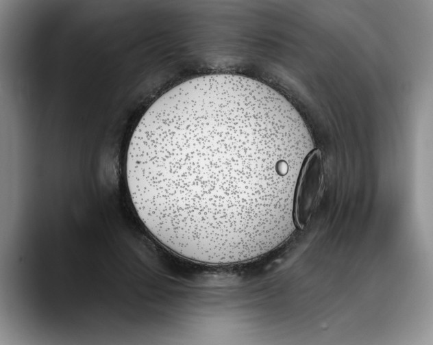 X0000089830644200707191827