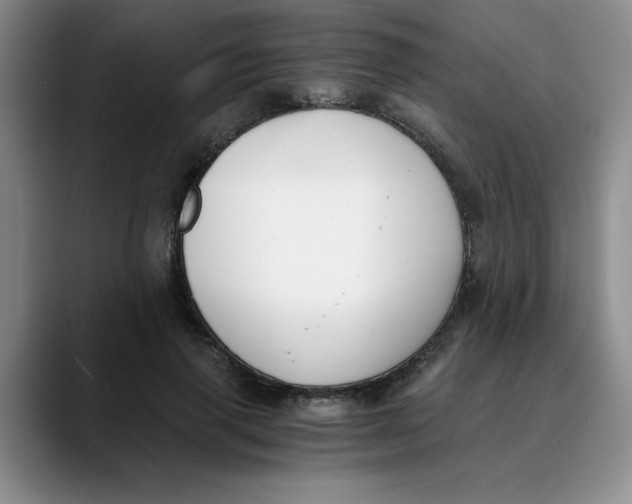 X0000089830645200707191827