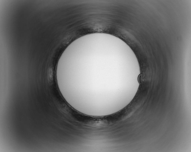 X0000089830646200707191827