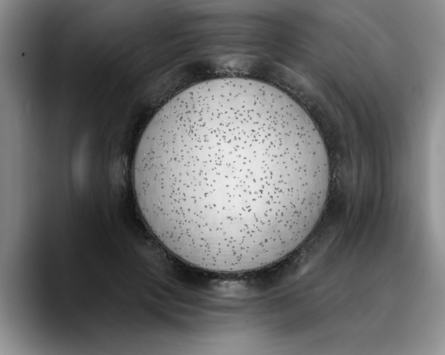 X0000089830649200707191827