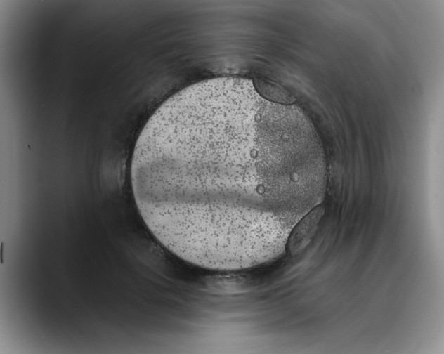 X0000089830652200707191827